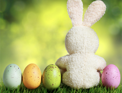 Our Top Tips for Easter treats!